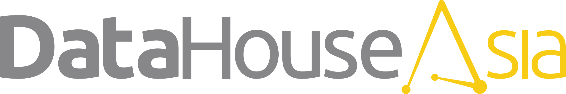DataHouse Asia Logo